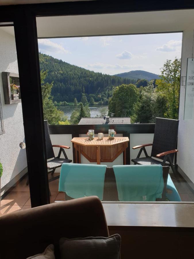 Ferienwohnung Zeitlos, Gigantischer Seeblick, Wlan, Gerne Mit Hund Winterberg Dış mekan fotoğraf
