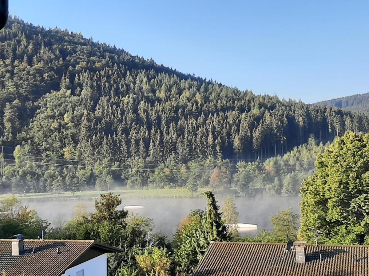 Ferienwohnung Zeitlos, Gigantischer Seeblick, Wlan, Gerne Mit Hund Winterberg Dış mekan fotoğraf