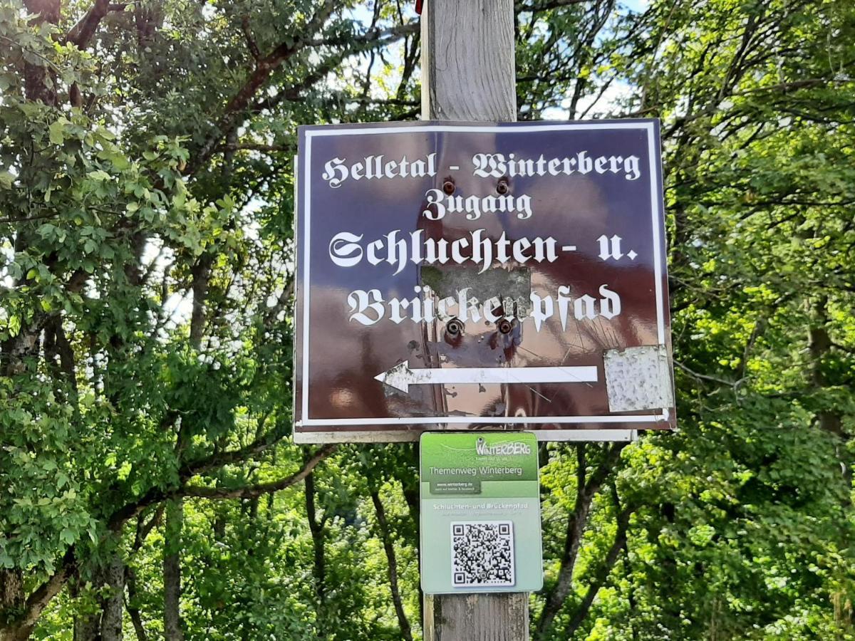 Ferienwohnung Zeitlos, Gigantischer Seeblick, Wlan, Gerne Mit Hund Winterberg Dış mekan fotoğraf